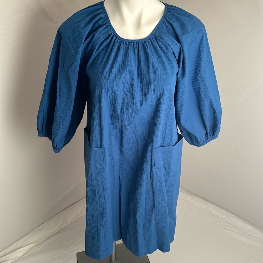 Everlane Seersucker Puff Sleeve blue dress with front pockets